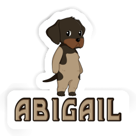 Sticker German Wirehaired Abigail Image