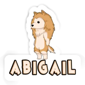 Sticker Collie Abigail Image