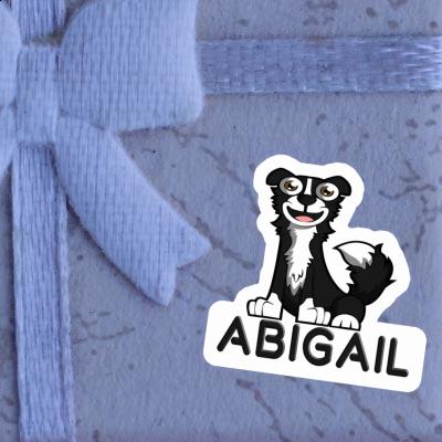 Border Collie Sticker Abigail Gift package Image