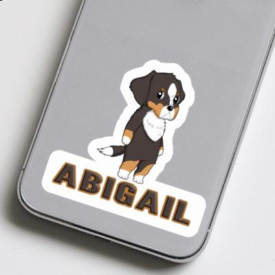 Sticker Bernese Mountain Dog Abigail Gift package Image