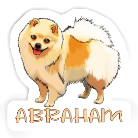 Autocollant Spitz allemand Abraham Image