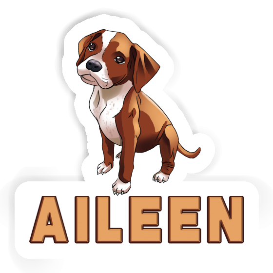 Aileen Autocollant Boxer Gift package Image
