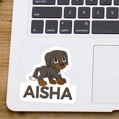 Bouvier bernois Autocollant Aisha Image