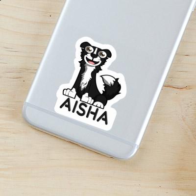 Autocollant Aisha Collie Gift package Image