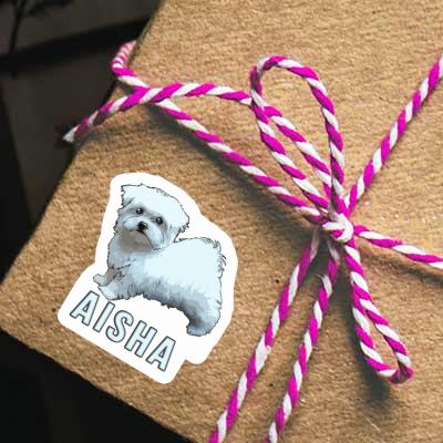 Aisha Sticker Maltese Dog Image