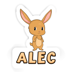 Rabbit Sticker Alec Image