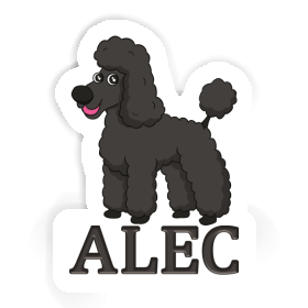 Alec Sticker Poodle Image