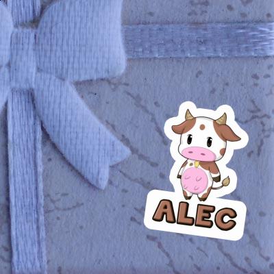 Alec Sticker Cow Gift package Image