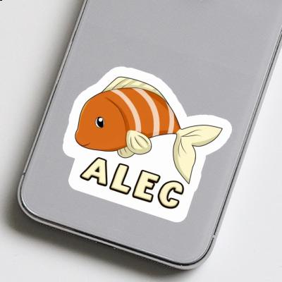 Fisch Sticker Alec Gift package Image