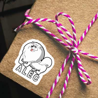 Aufkleber Alec Deutsche Spitze Gift package Image