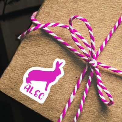 Sticker Rabbit Alec Gift package Image