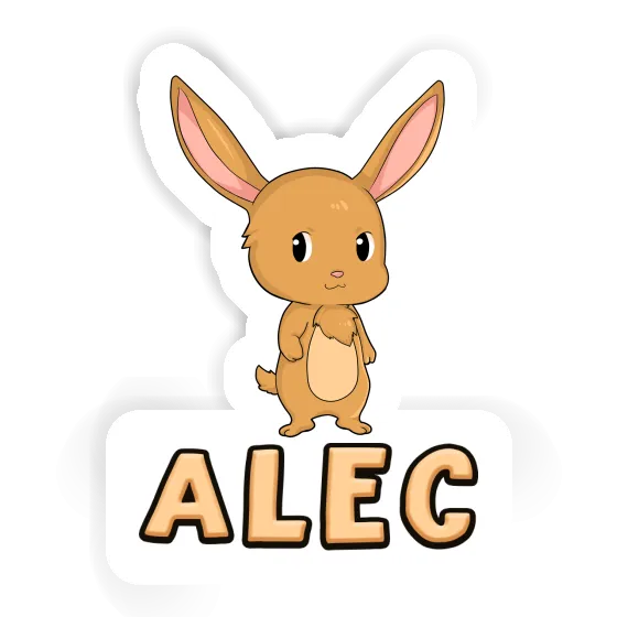 Rabbit Sticker Alec Notebook Rabbit Sticker Alec Gift package Image