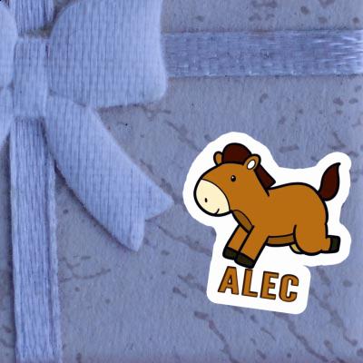 Pferd Sticker Alec Notebook Image