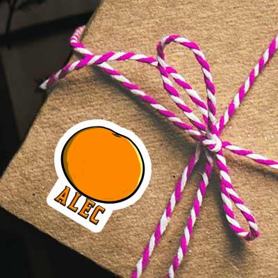 Orange Sticker Alec Gift package Image