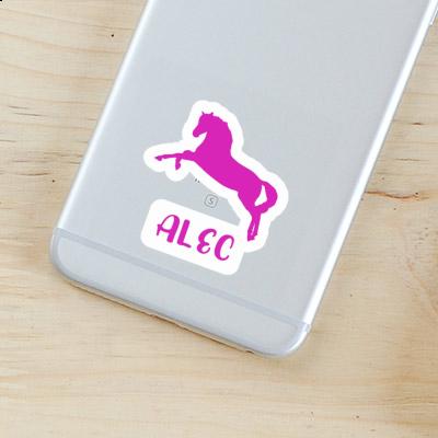 Autocollant Alec Cheval Gift package Image