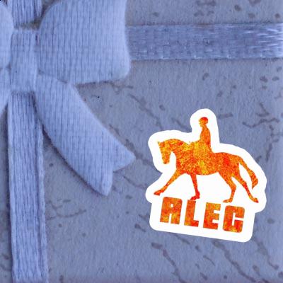 Autocollant Cavalière Alec Laptop Image