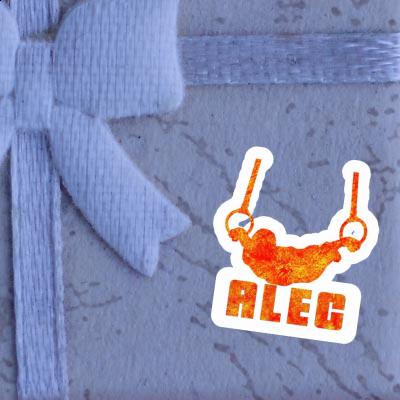 Gymnaste aux anneaux Autocollant Alec Image