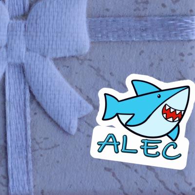 Requin Autocollant Alec Gift package Image