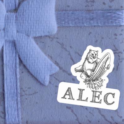 Autocollant Surfeur Alec Gift package Image