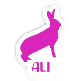 Autocollant Ali Lapin Image