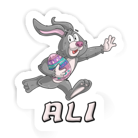 Autocollant Lapin de rugby Ali Image