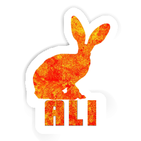 Lapin Autocollant Ali Image