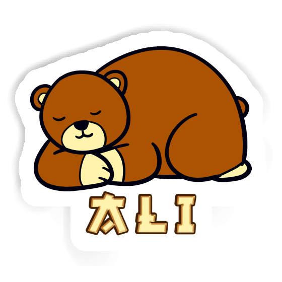 Ali Autocollant Ours Notebook Ali Autocollant Ours Notebook Image