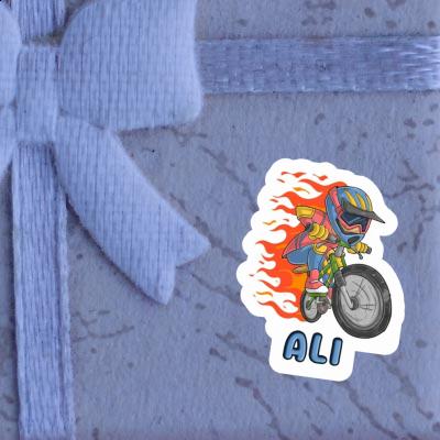 Downhiller Autocollant Ali Notebook Downhiller Autocollant Ali Gift package Image