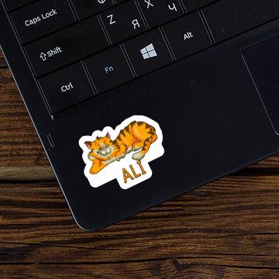 Autocollant Chat Ali Notebook Autocollant Chat Ali Gift package Image