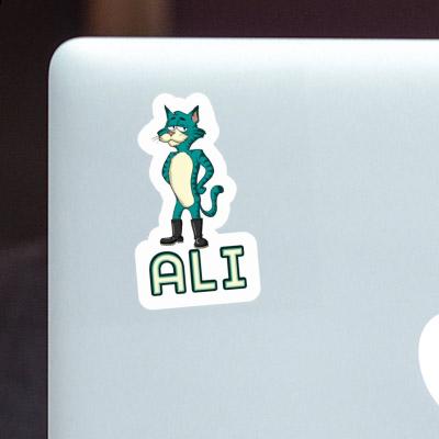 Cat Sticker Ali Laptop Cat Sticker Ali Laptop Image