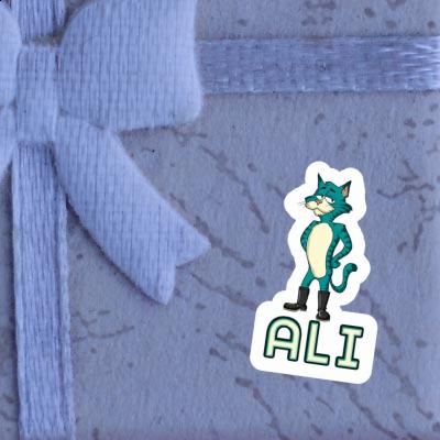 Chat Autocollant Ali Gift package Image