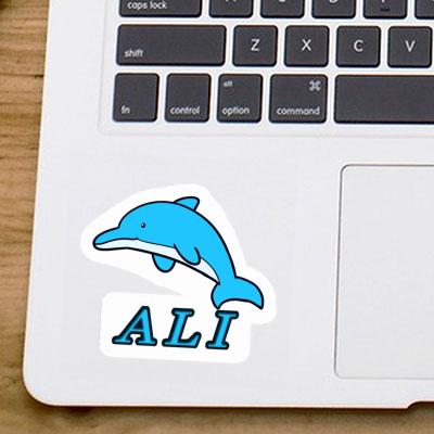 Autocollant Dauphin Ali Notebook Autocollant Dauphin Ali Gift package Image