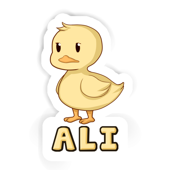 Autocollant Canard Ali Gift package Image