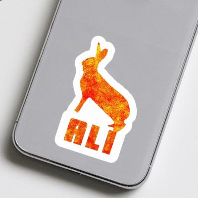 Ali Autocollant Lapin Notebook Ali Autocollant Lapin Gift package Image