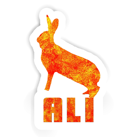 Ali Autocollant Lapin Notebook Ali Autocollant Lapin Gift package Image