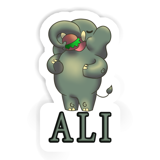 Autocollant Ali Éléphant Notebook Autocollant Ali Éléphant Gift package Image
