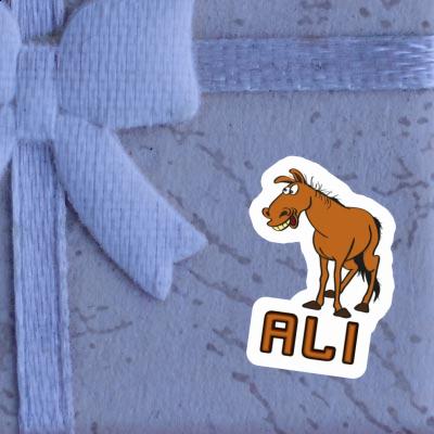Autocollant Cheval Ali Laptop Image