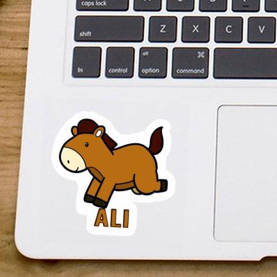 Sticker Horse Ali Sticker Horse Ali Image