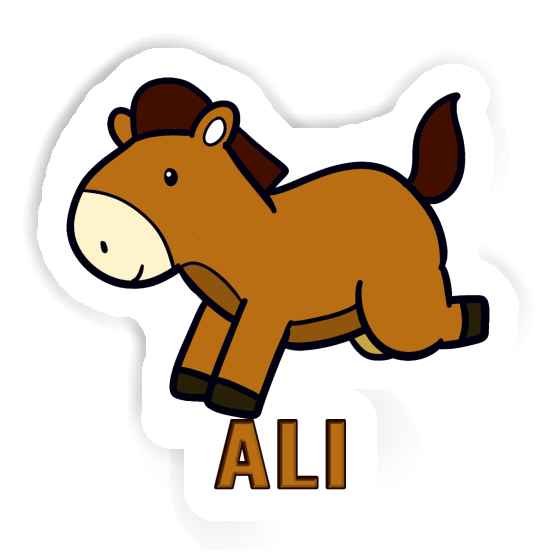 Autocollant Cheval Ali Gift package Image