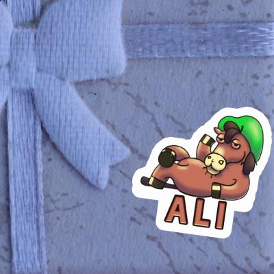 Cheval Autocollant Ali Notebook Cheval Autocollant Ali Gift package Image