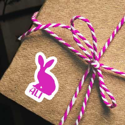 Autocollant Ali Lapin Notebook Autocollant Ali Lapin Notebook Image