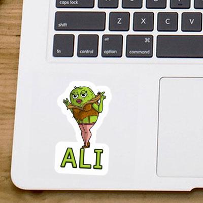 Kiwi Autocollant Ali Notebook Kiwi Autocollant Ali Gift package Image