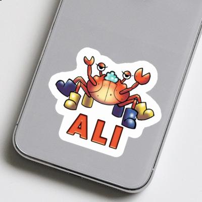 Crabe Autocollant Ali Notebook Crabe Autocollant Ali Gift package Image