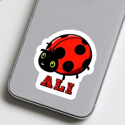Marienkäfer Sticker Ali Gift package Image