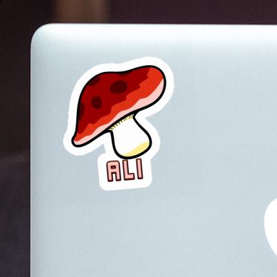 Sticker Ali Toadstool Notebook Image