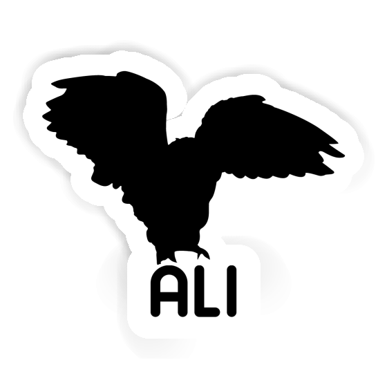 Autocollant Hibou Ali Autocollant Hibou Ali Image