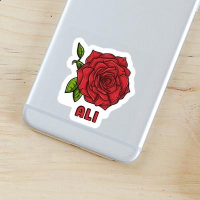 Autocollant Ali Fleur de rose Laptop Image