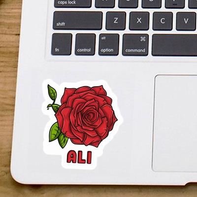 Autocollant Ali Fleur de rose Image