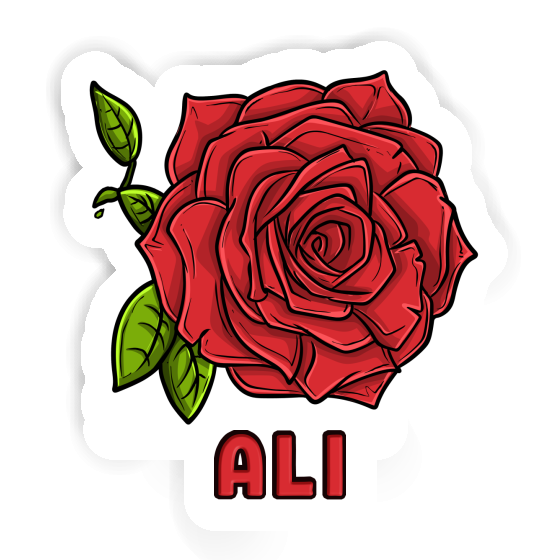 Autocollant Ali Fleur de rose Gift package Image