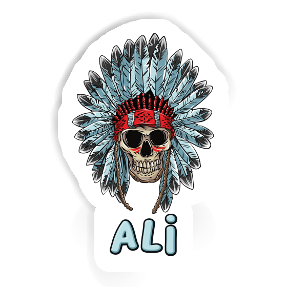 Autocollant Ali Tête de mort indien Image